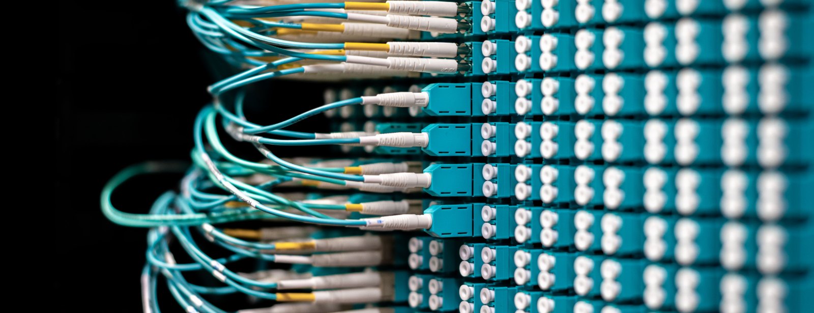 Thin cables curve out of the dark and plug into long rows of square connectors on a patch panel.